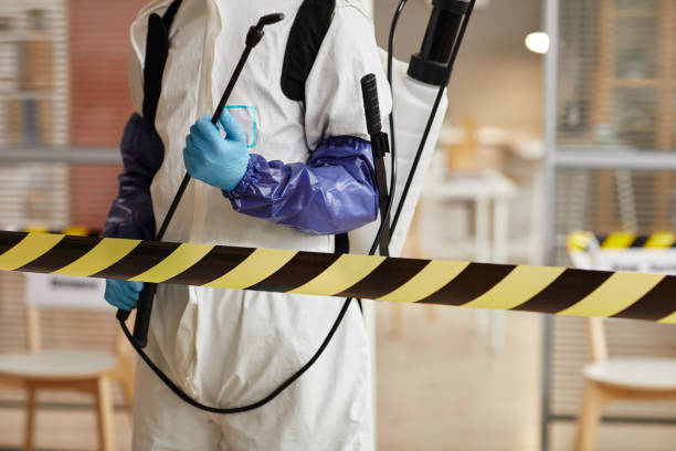 Professional Blood Cleanup technician working in Sloan, NV
