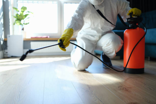 Reliable Blood Cleanup contractor in Sloan, NV by Dulley Family Biohazard Services